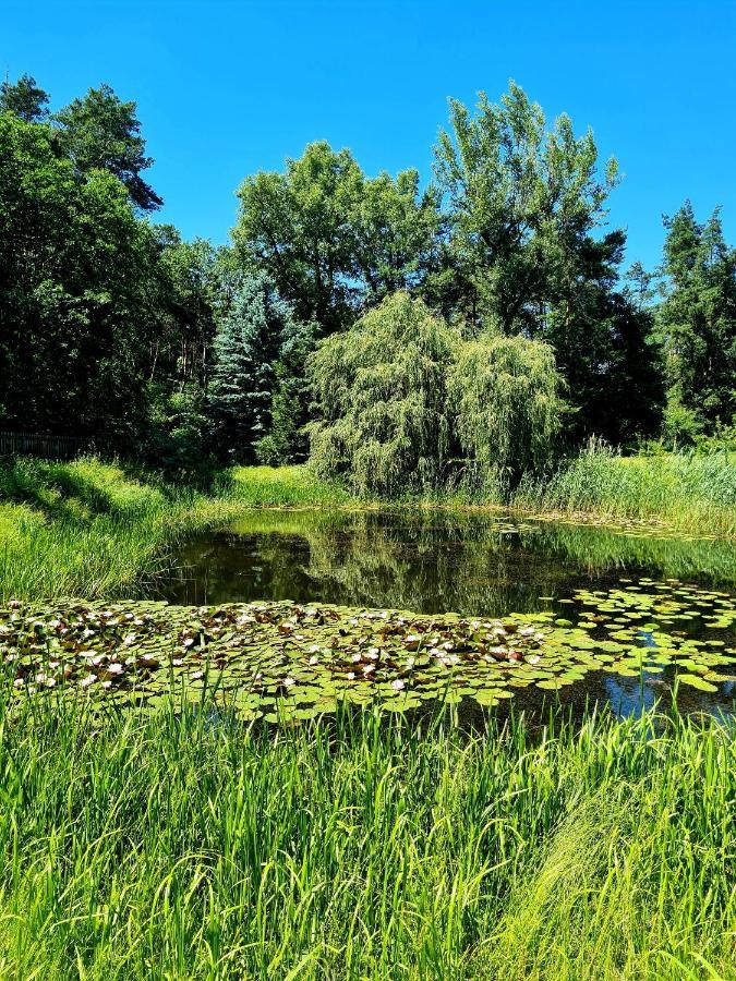 Czosnów Wrzosowe Siedliskoヴィラ エクステリア 写真